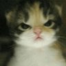 gabsgabigabs's profile picture