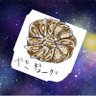 ㍿ 鈴鈴🥟🥟じえんど(زلابية)🐴 profil fotoğrafı