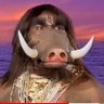 Hindu Nationlist profil fotoğrafı