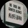 Фото профиля 台灣獨立,支那賤畜死光