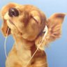 Profilbild von chroniko