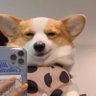 Jbrs's profile picture