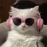 ( ̄へ ̄) profil fotoğrafı