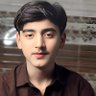 علی حیدر profil fotoğrafı