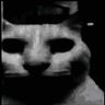friendly fire's profile picture