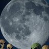 The far side of the Moon's profile picture