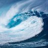 海啸Shawn's profile picture