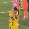 nojasharinocalcio 的头像