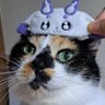ナリ田 的头像