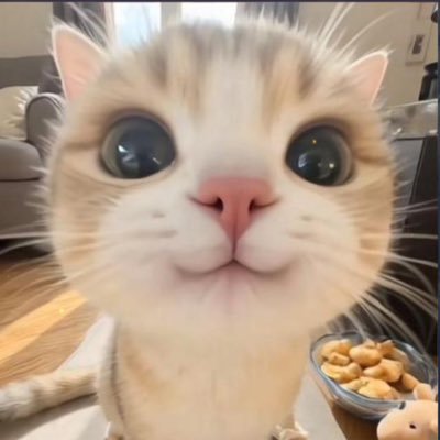 coco mucho's profile picture