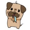Profilbild von パグのUG🐶🦴Music Creator