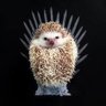 Фото профиля Mother Of Hedgehogs