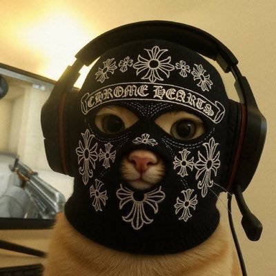 shahh's profile picture