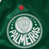 Palmeirense sempre! 💚 的头像