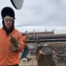 Alexander Gibbs's profile picture