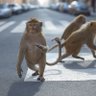 Фото профиля しまうま
