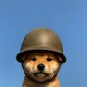 NPM profil fotoğrafı