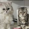 Profilbild von ポリとアポロの何気ない日常