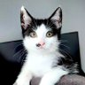 Profilbild von bejoota97