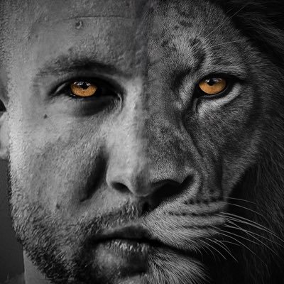 Adrian Bartosiński's profile picture
