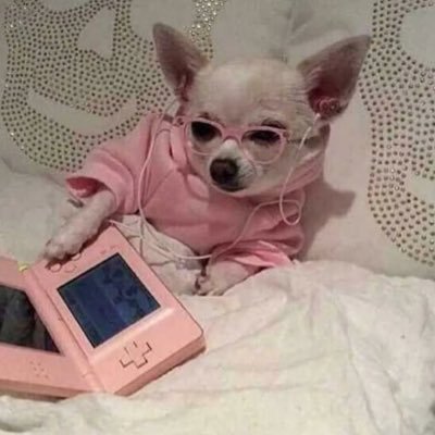 sumuş's profile picture