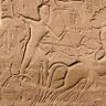 Ramesses's profile picture