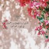 اموووله 的头像