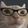 梨玫拾捌's profile picture