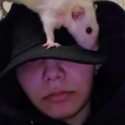 Sevi's profile picture
