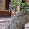 Jorge 🌎 profil fotoğrafı