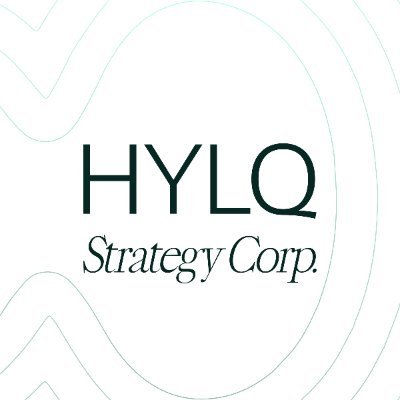 HYLQstrategy's profile picture