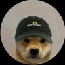 doge's profile picture