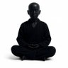 Amiru's profile picture