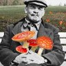 Profilbild von Shroomies