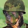 Profilbild von Tanko