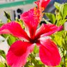 hussein rango 的头像