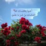 Profilbild von سيف عماد