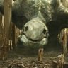 skull crawlers's profile picture