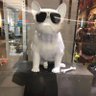 一生应援's profile picture