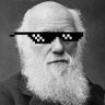 Darwin's profile picture