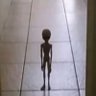 Profilbild von alien of inquisition