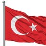 TC FıRaT GüL 的头像