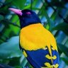 صالح's profile picture