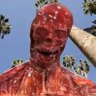 Memories of Drangleic's profile picture