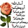 الحيالي الحسني profil fotoğrafı