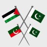 Raees Abbasi's profile picture