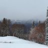 H.M.ALASKA 的头像