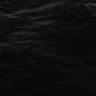 Profilbild von neptune k