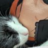 ユン坊 profil fotoğrafı