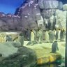 Profilbild von Ray🍀🐧🕊🤍
